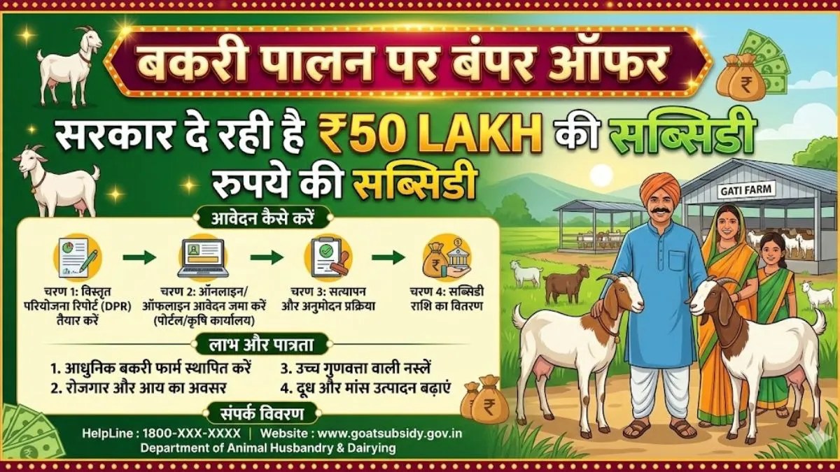बकरी पालन पर बंपर ऑफर: सरकार दे रही है 50 लाख रुपये की सब्सिडी, ऐसे करें आवेदन