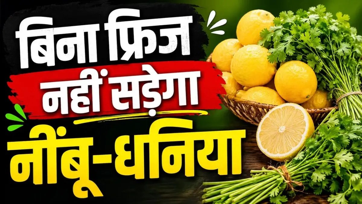बिना फ्रिज के भी हफ्तों तक तरोताजा रहेंगे नींबू और धनिया, बस आजमाएं रसोई के ये 4 देसी नुस्खे