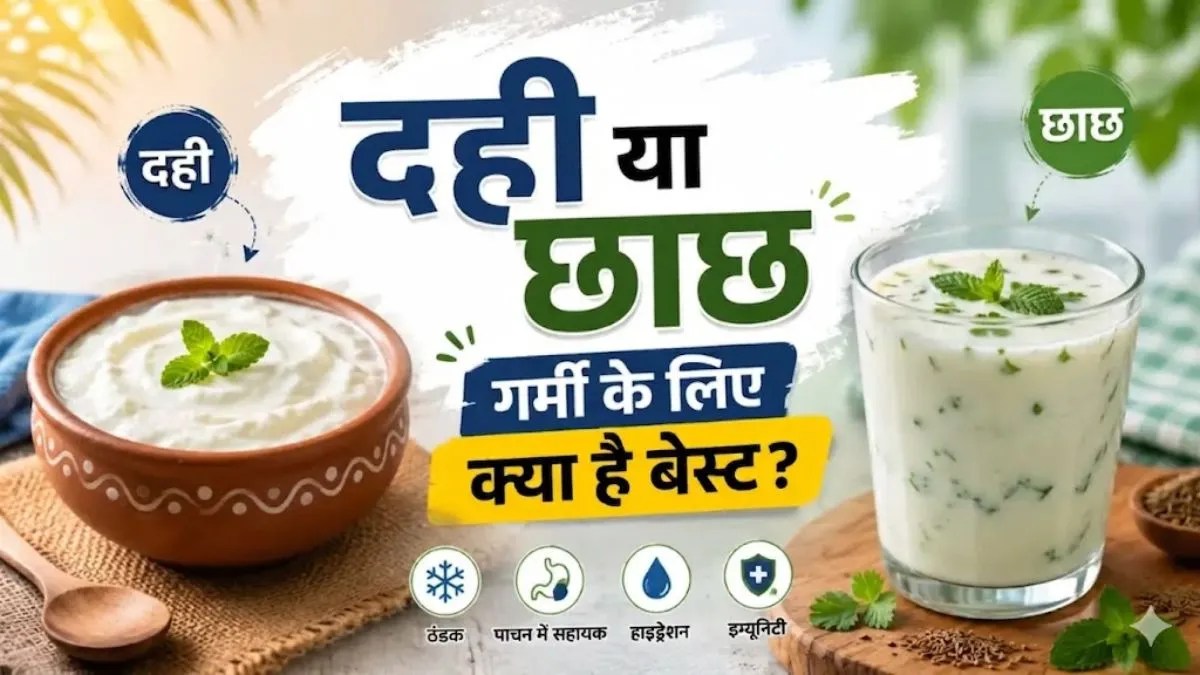 दही या छाछ? गर्मी में सेहत के लिए क्या है ज्यादा फायदेमंद, जानें आयुर्वेद का सही जवाब