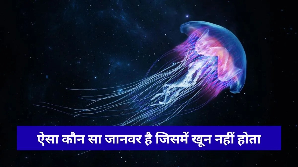 GK : सामान्य ज्ञान का सबसे कठिन सवाल, जानिए उस जीव का नाम जिसके शरीर में नहीं होता खून का एक भी कतरा