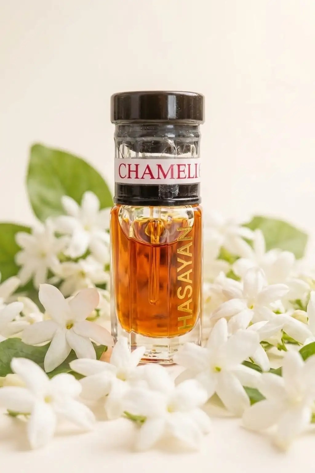 Chameli (Jasmine Grandiflorum)