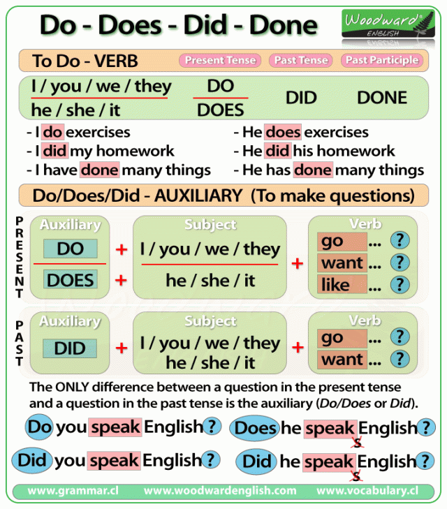 Penggunaan DO dan DOES beserta DID dan DONE dalam Kalimat Bahasa Inggris –  Hastag Campus