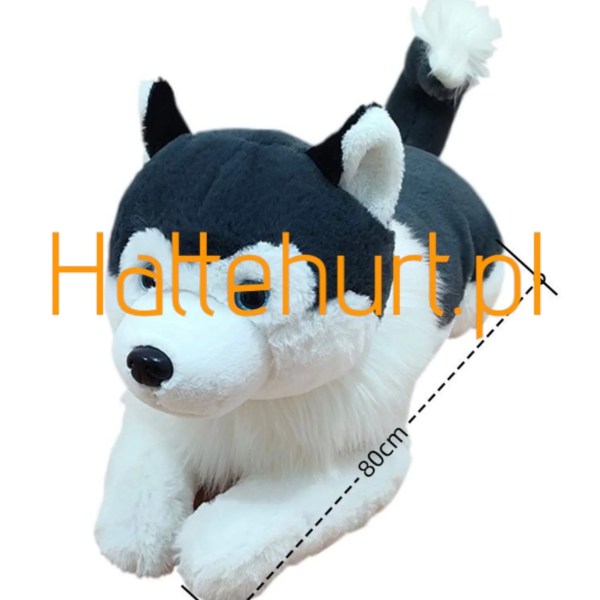 MASKOTKA CUTE HUSKY 80CM 6 SZT