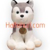 ZABAWKI MASKOTKI CUTE PIES  35 CM 6  SZT