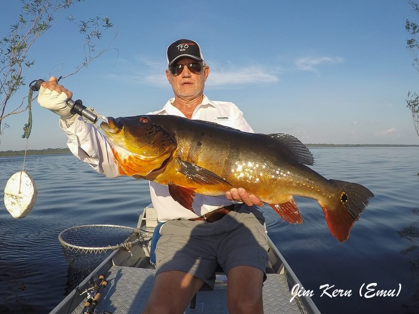 Kern fish