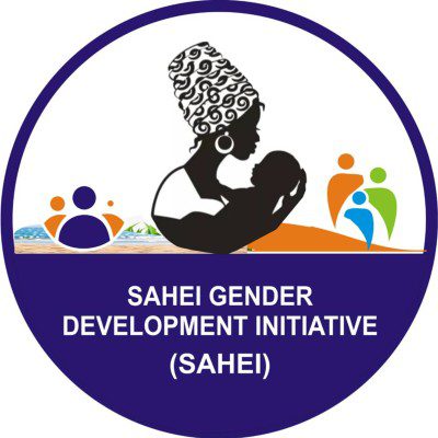 Data Information and Communication Officer at Sahei Gender Development Initiative