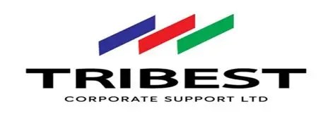 Apply Now: Bank Sales Executives at Tribest Coporate Support Ltd