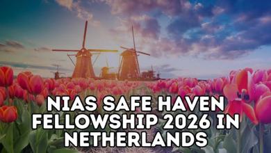 NIAS Safe Haven Fellowship in Netherlands | Fully Funded