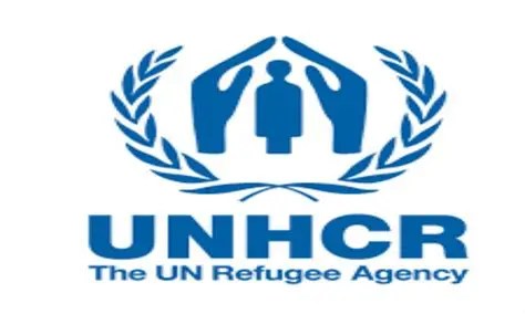 Registration Associate at United Nations High Commissioner for Refugees (UNHCR)
