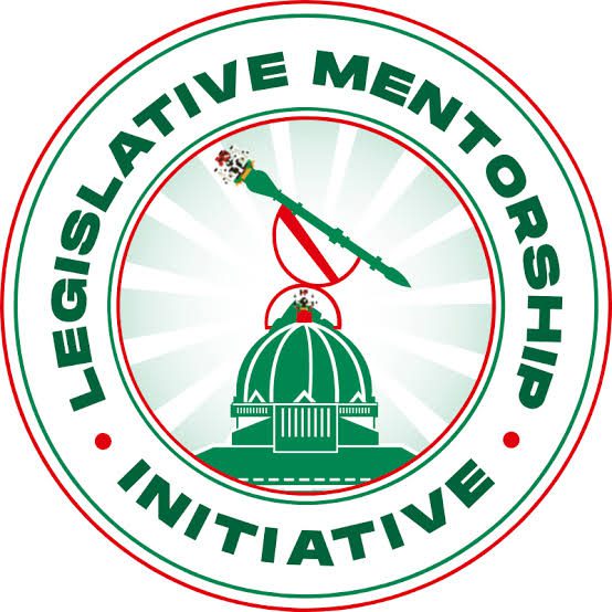 Legislative Mentorship Initiative (LMI) Cohort 4 Fellowship Programme