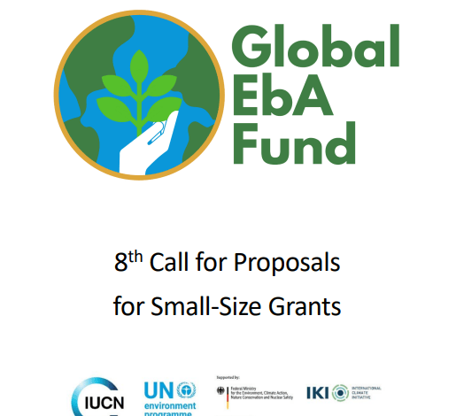 Global EbA Fund 2026: Up to US$250,000 Small Grants for Climate Adaptation Projects in SIDS & LDCs