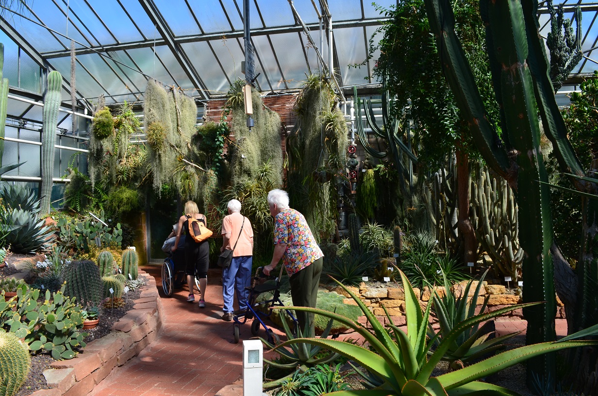 Das Marburger Online Magazin Umbau Der Philipps Universitat 1 Die Grosse Hangepartie Mit Dem Botanischen Garten