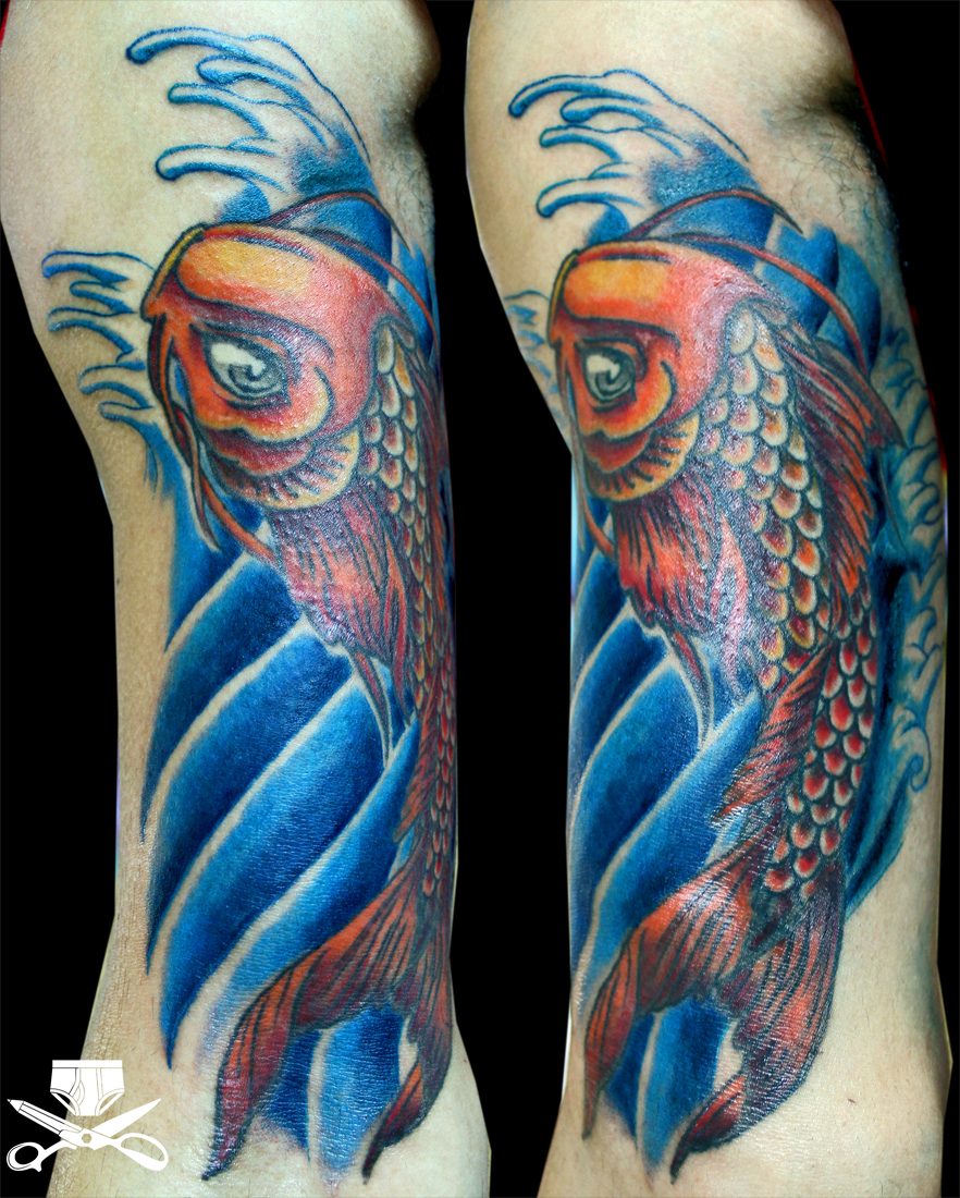 Koi Color Complete…Coooooool | Hautedraws