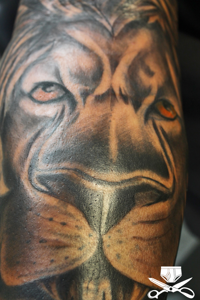 Black And Gray Lion Tattoo Hautedraws