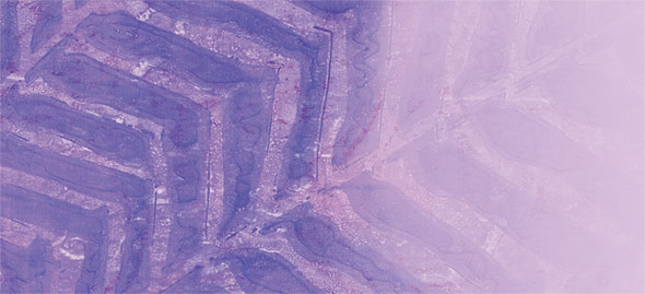 Batik - Graffiti Grape - Signature Card - hautenote.com