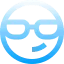 Havaners Polarised Icon