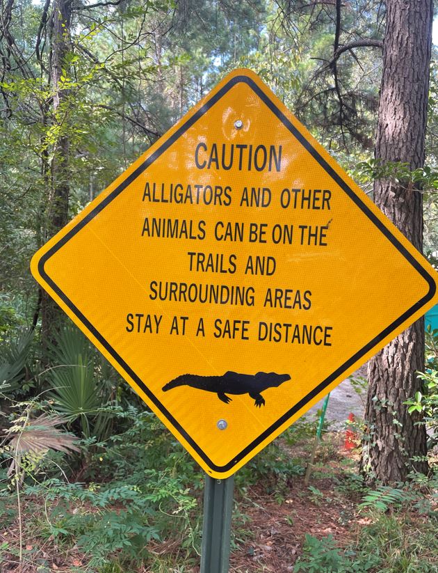 Watch out