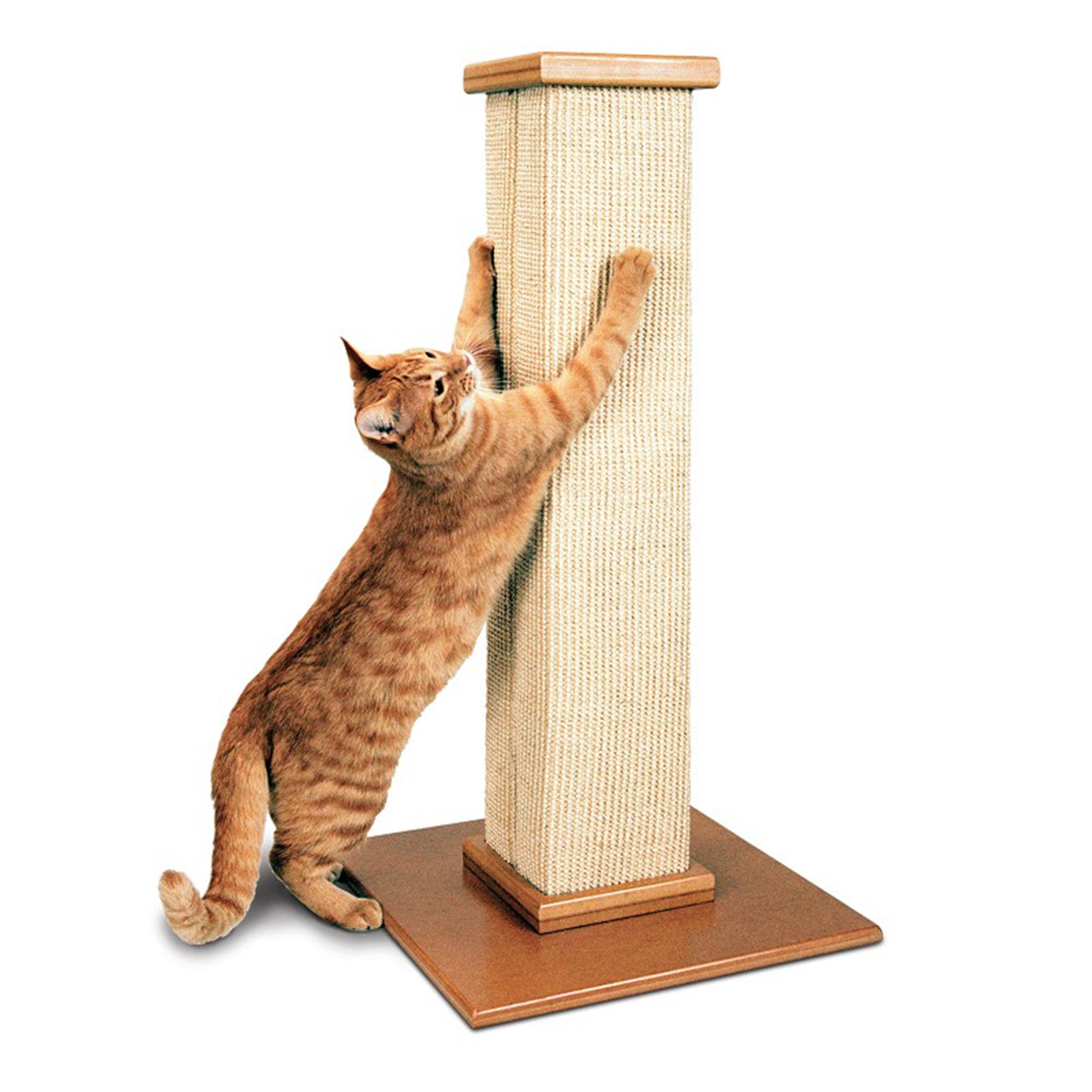 smartcat-scratching-post