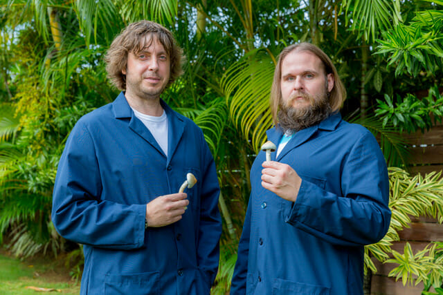 HAVN Life Harvests First Crop of Psilocybin Mushrooms at its Jamaica Facility