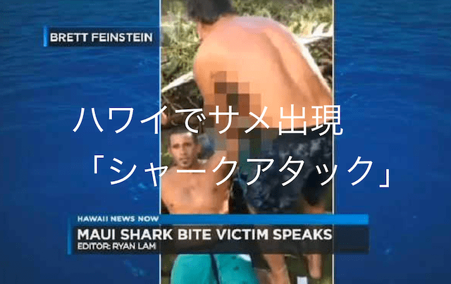 sharkattack