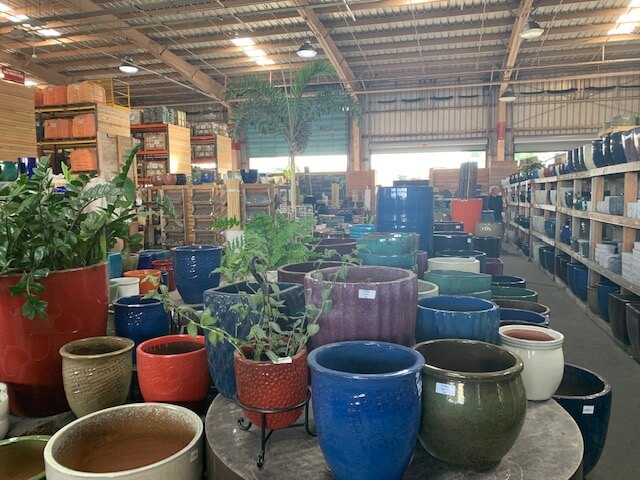 パンノキ　85cm 鉢　観葉植物　実生　グリーン　レア　ハワイアンキルト　ハワイ ハワイアンキルト パンの木の大きめトートバック白ブルーB トート