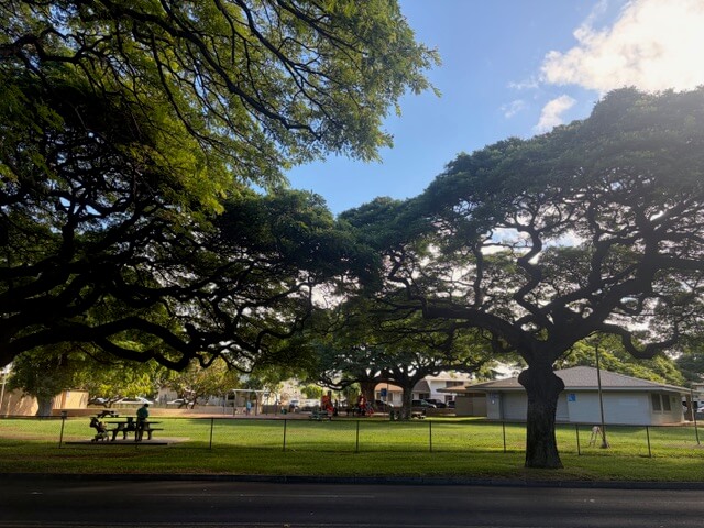 ワイキキでキリンが見える!? 思わず二度見する穴場スポット