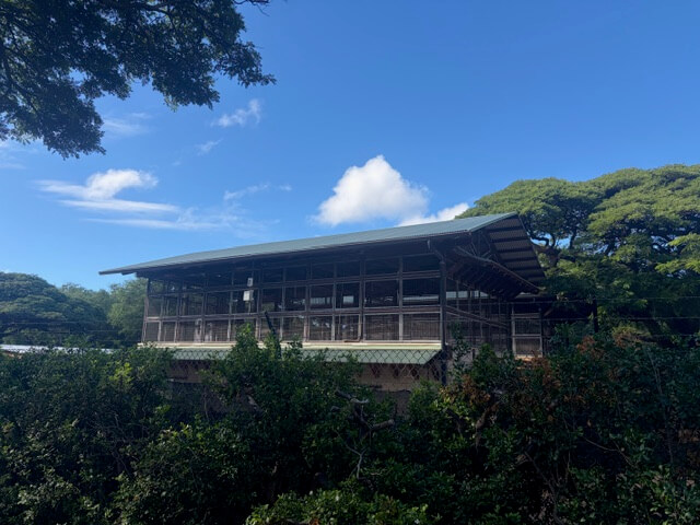 ワイキキでキリンが見える!? 思わず二度見する穴場スポット