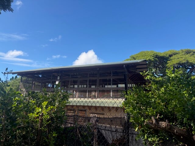 ワイキキでキリンが見える!? 思わず二度見する穴場スポット