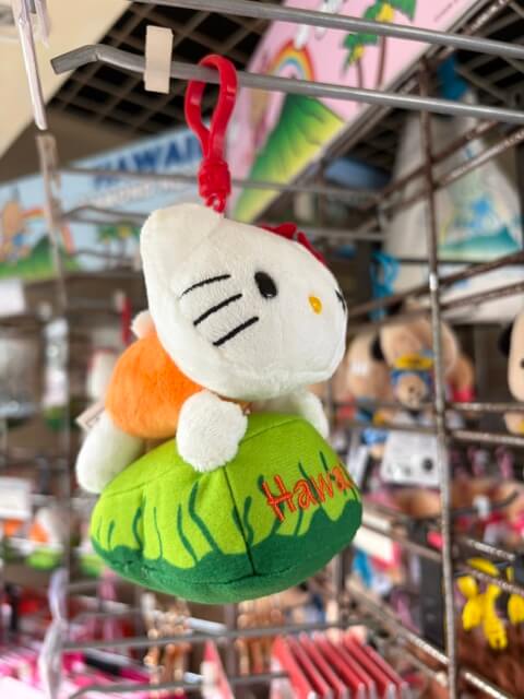 ハワイ・ダイヤモンドヘッドのお土産が可愛すぎる！限定グッズや日焼けキティを紹介