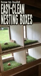 nesting chicken astroturf coop hawk hill box lined upgrade boxes request