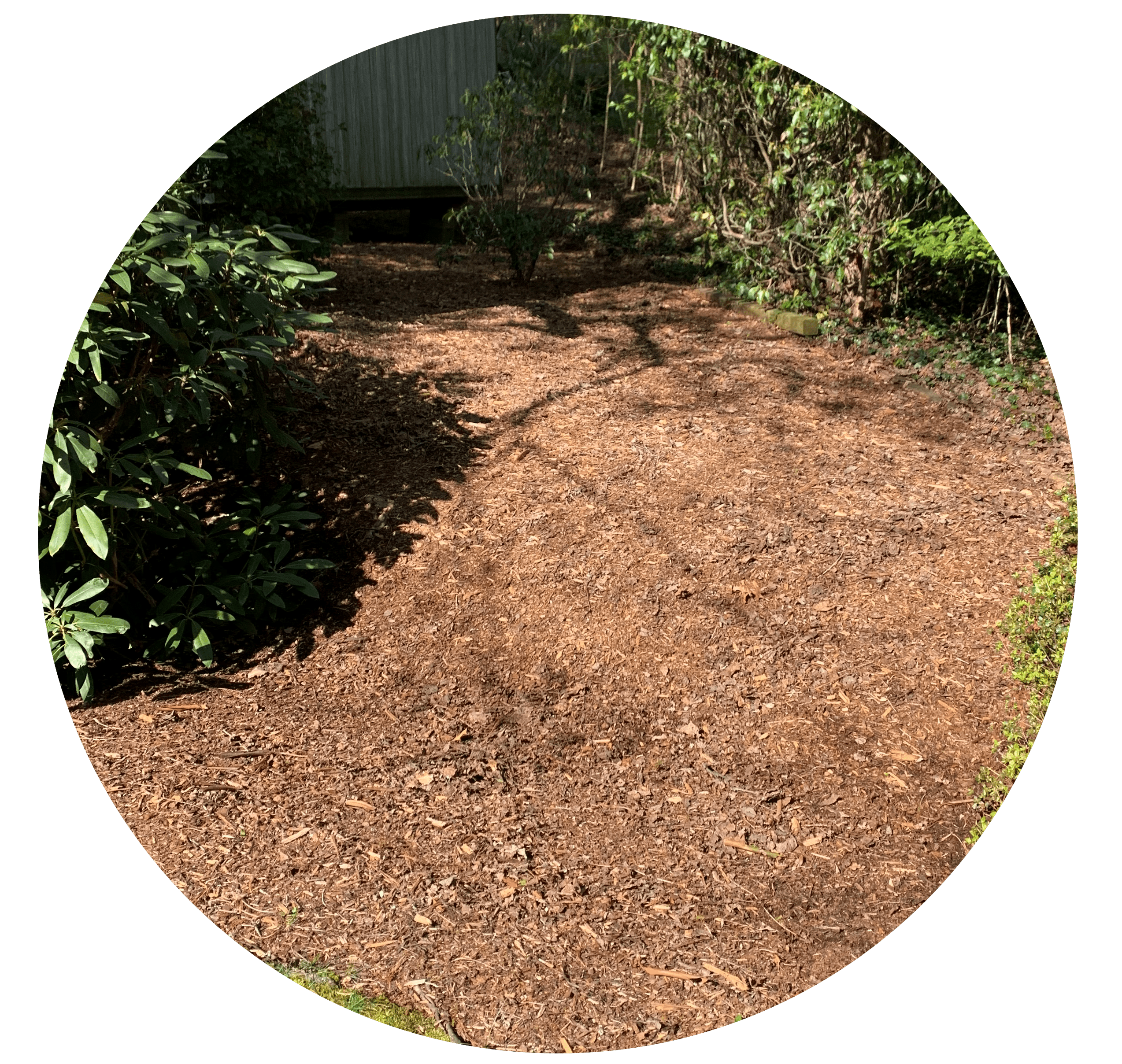 spring cleanup, fall cleanup, lawncare