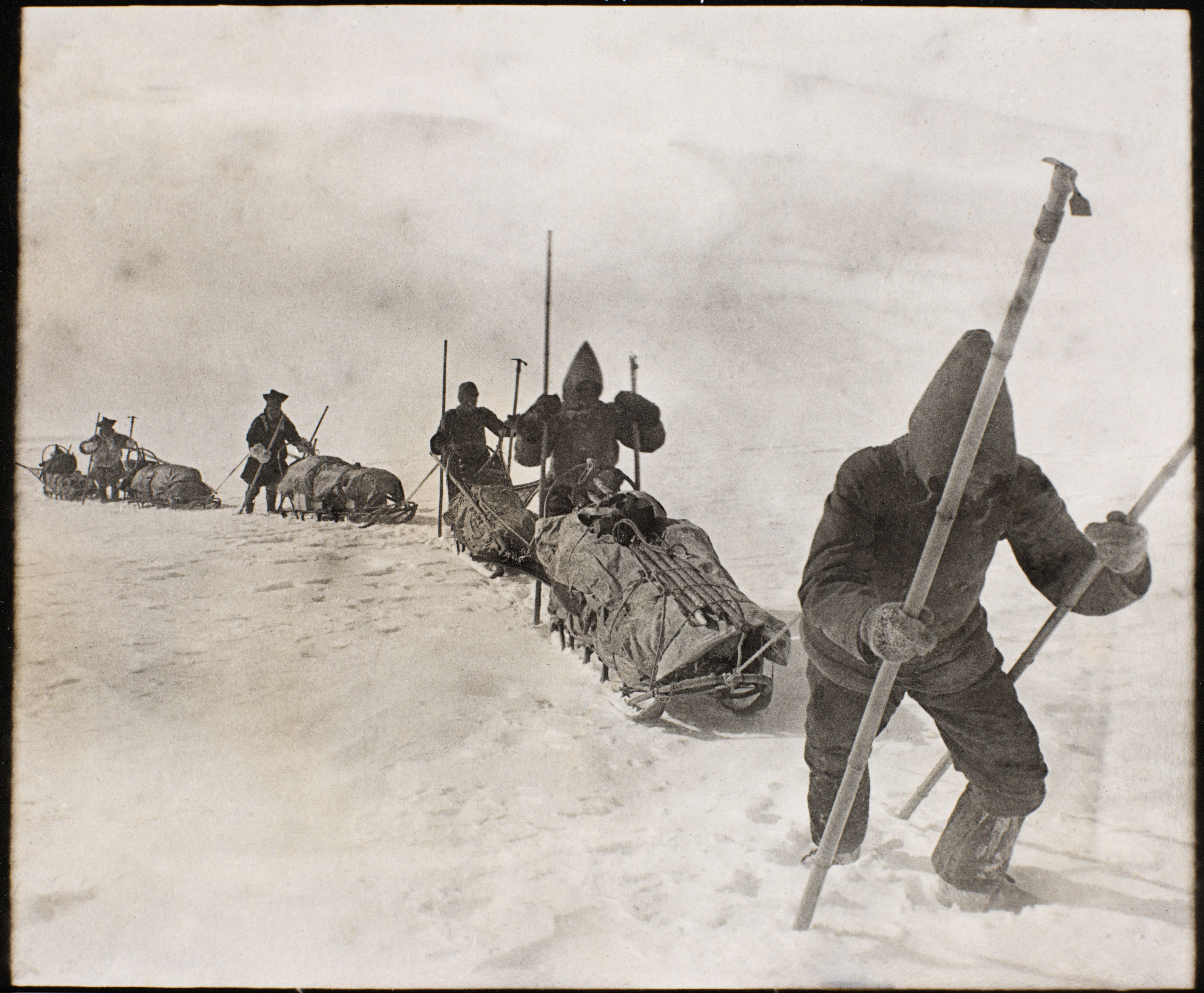 The Great Arctic Explorer | Hazel Stainer