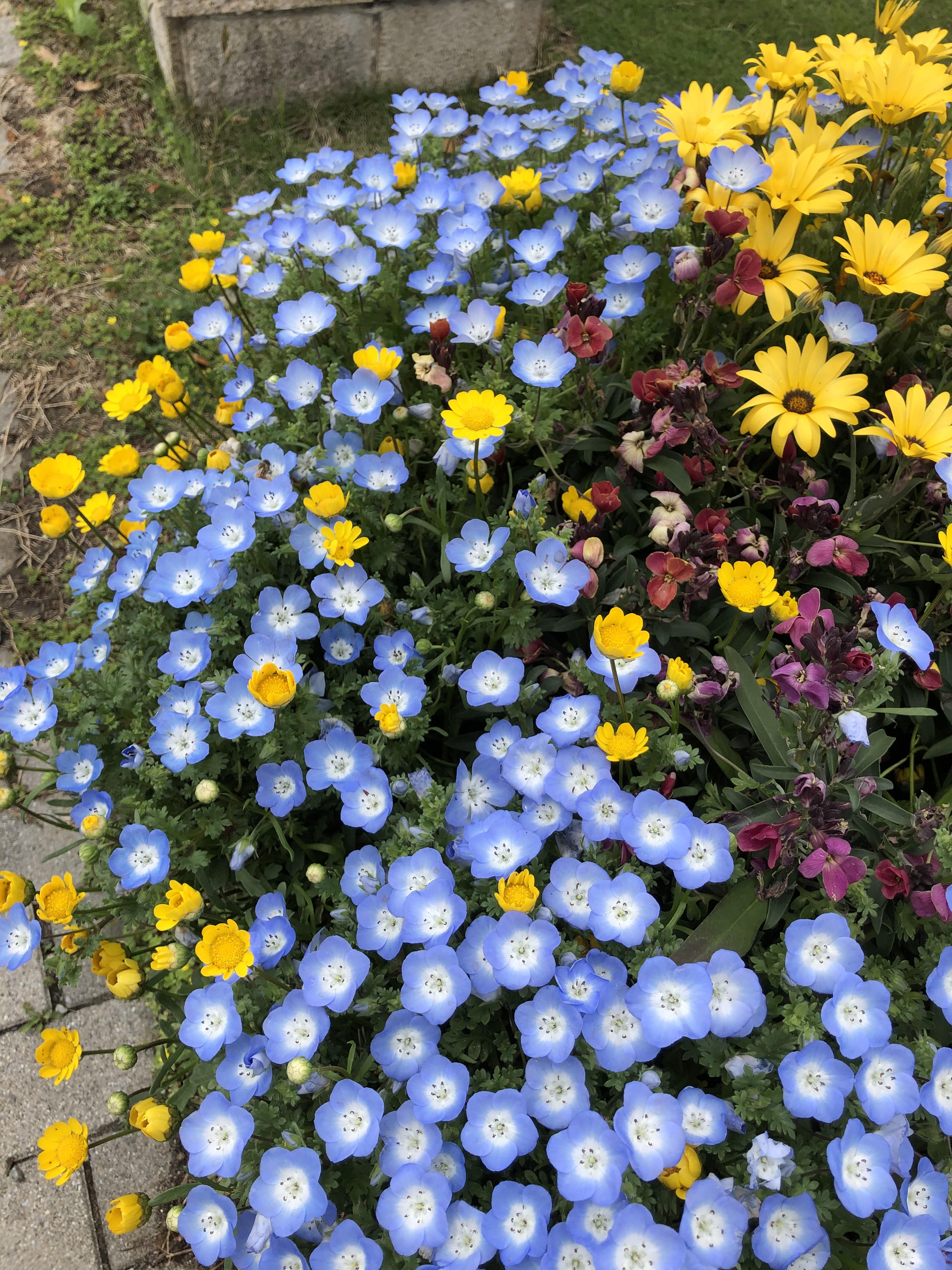 5EA3FF46-E8BE-46B5-9D4B-B8EF2C583E19