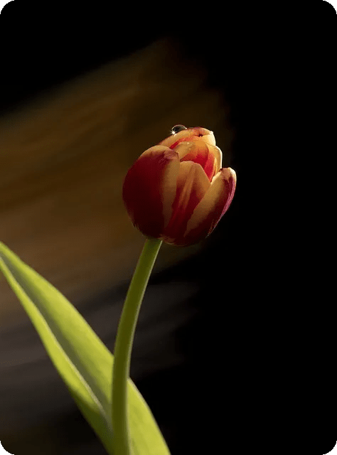 디지털포렌식전문가가 되는 법은