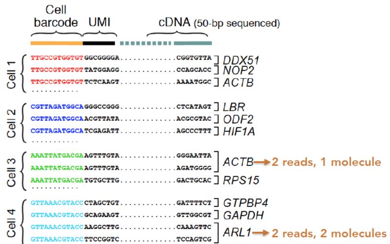 Github Hbctraining In Depth Ngs Data Analysis Course 1 - Retina Landscape Photos for Desktop