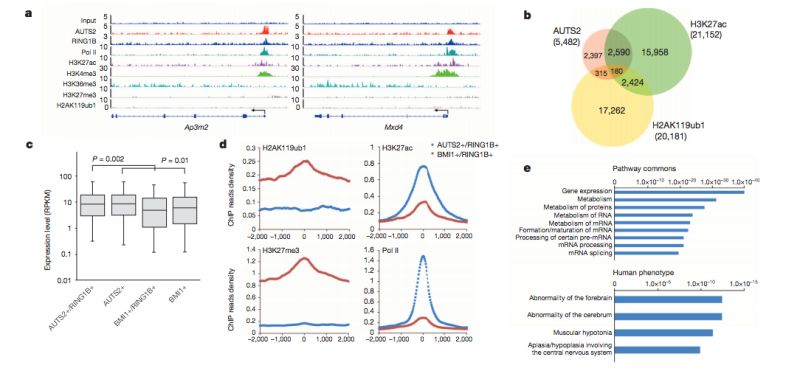Github Laurafahey02 Integrated Rna Seq And Chip Seq Analysis - HD Sunset Pictures for Desktop