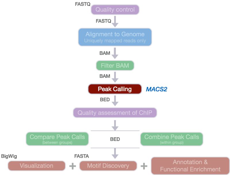 Github Snakemake Workflows Chipseq Chip Seq Peak Calling Qc And - Best Vintage Wallpapers in Retina