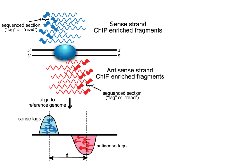 Github Nf Core Chipseq Chip Seq Peak Calling Qc And Differential - Premium Dark Art Gallery - Mobile