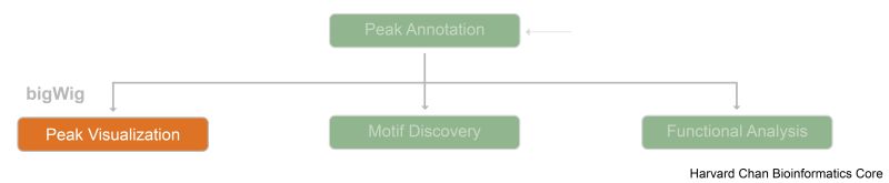 Trackviewer Peak Visualization - Full HD Nature Arts for Desktop