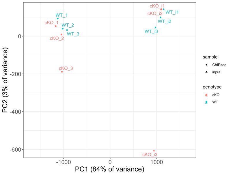 Peak 1 Pdf - Full HD Ocean Wallpapers for Desktop