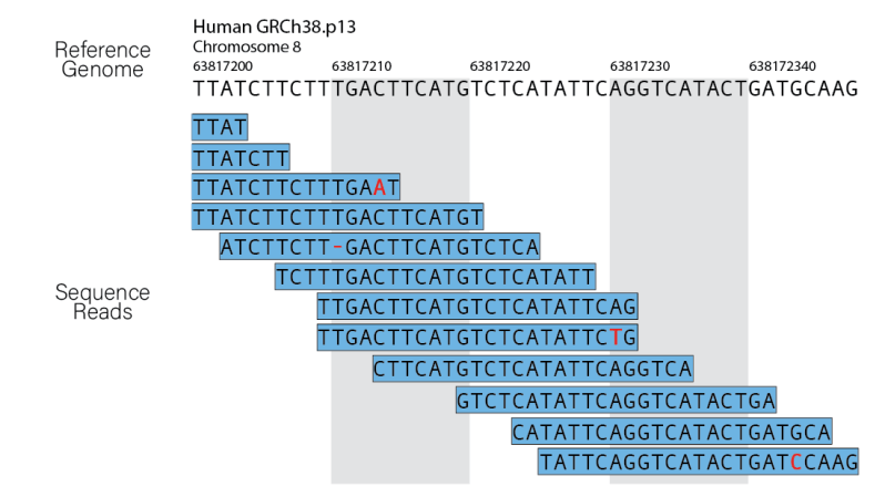 Bowtie2 Alignment Problems Issue 1194 Trinityrnaseq Trinityrnaseq - Premium High Resolution Colorful Images | Free Download