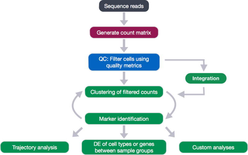 New Normalization Method For Scrna Seq Analysis And Bulk - Gradient Pictures - Premium Retina Collection