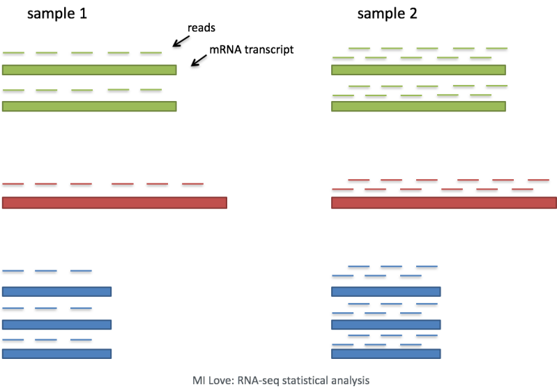 New Normalization Method For Scrna Seq Analysis And Bulk - Best Landscape Backgrounds in Full HD