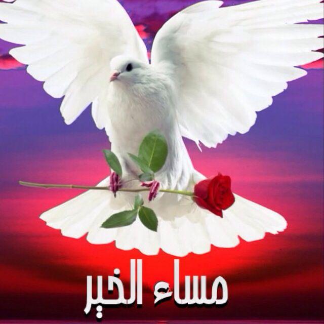 صور متحركة مساء الخير , اجمل مساء على الاحباب الحبيب للحبيب