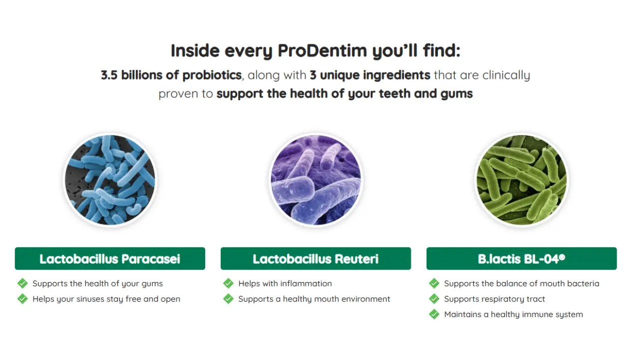 Prodentim key natural ingredients with benefits labeled