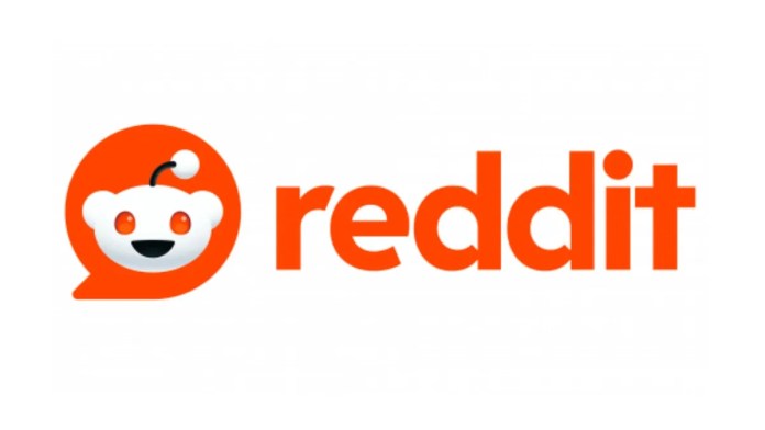 reddit Rechtbank Den Haag waar het kort geding tussen Reddit en de Autoriteit Persoonsgegevens werd behandeld.