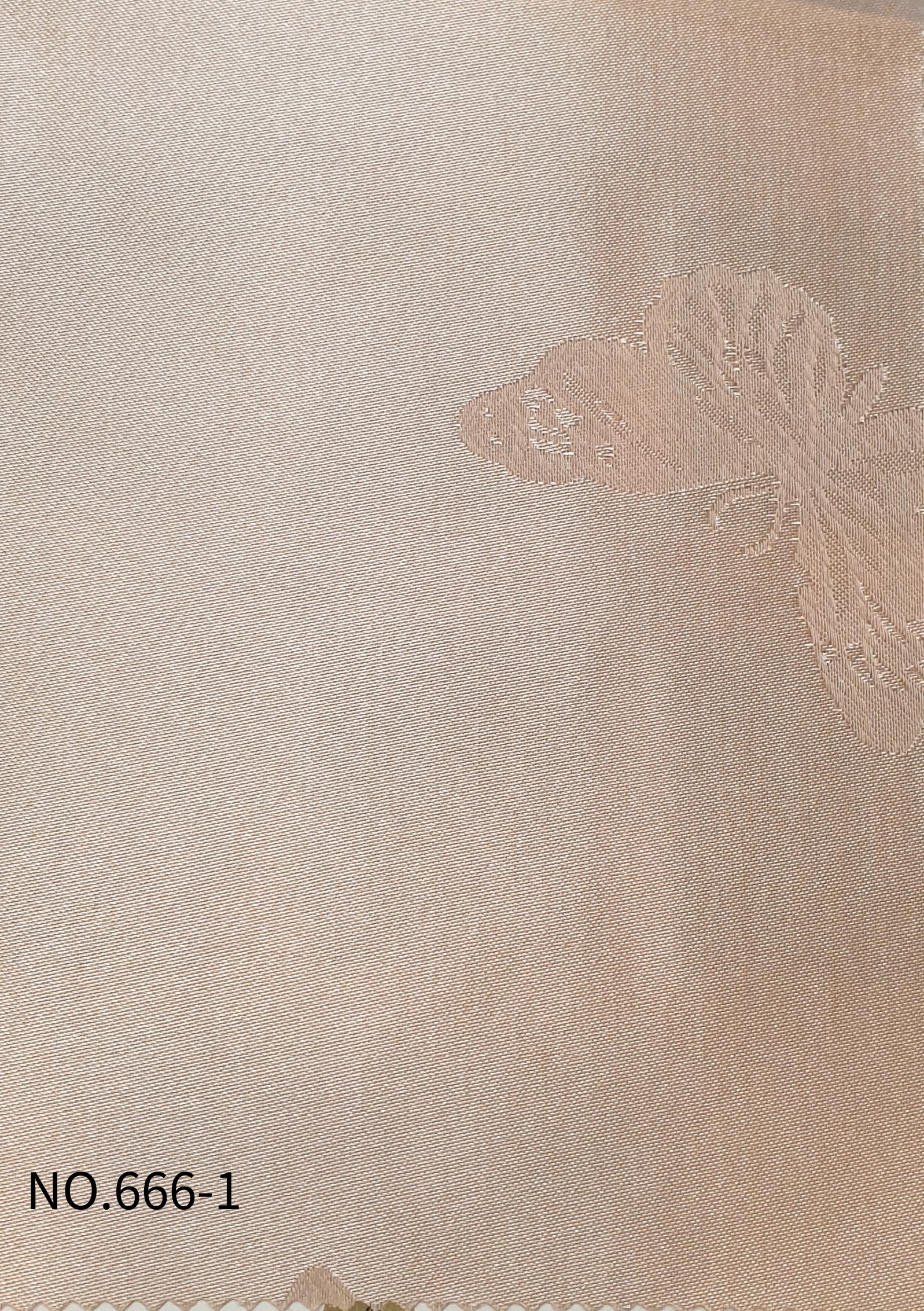 NO666-1