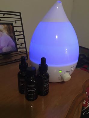 NYB oils2