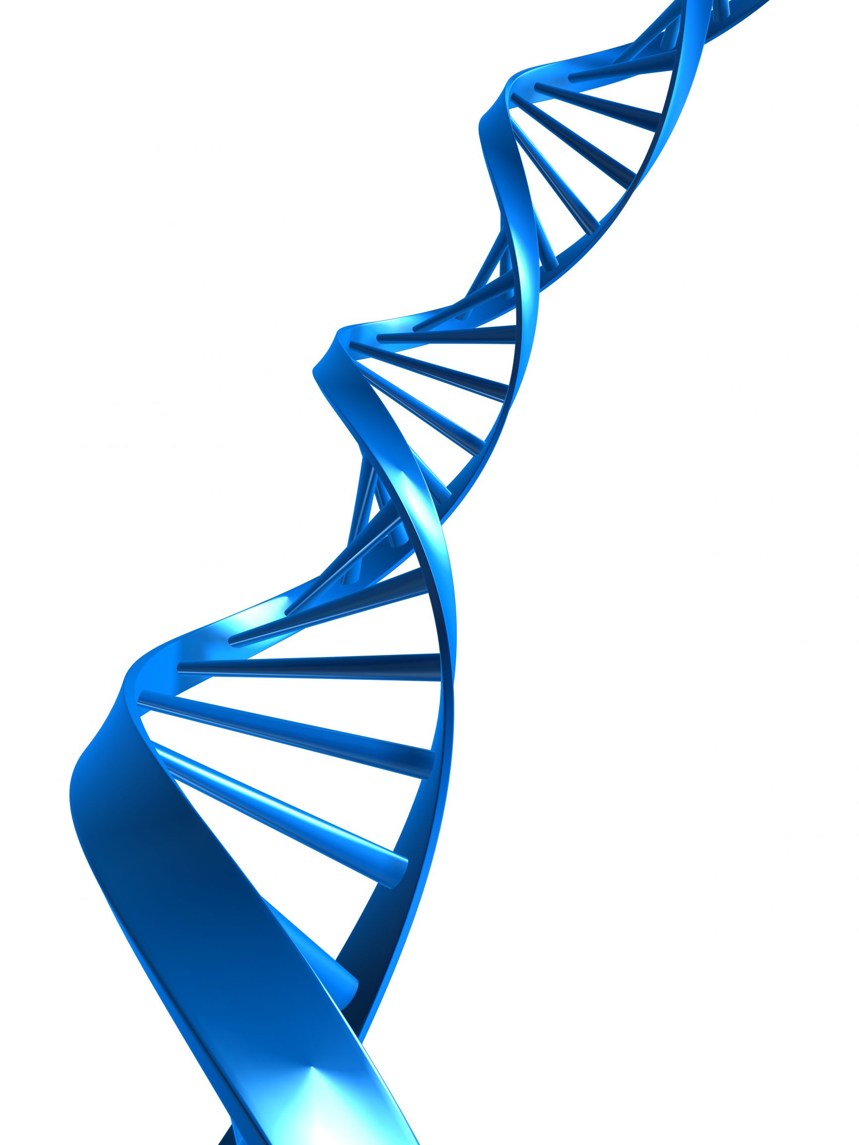 Next-Generation Sequencing: The Sequencing Technique of the Future?