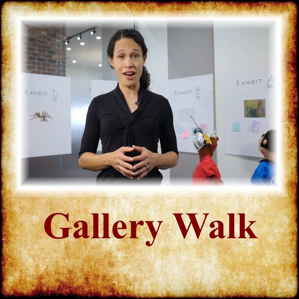 Gallery Walk